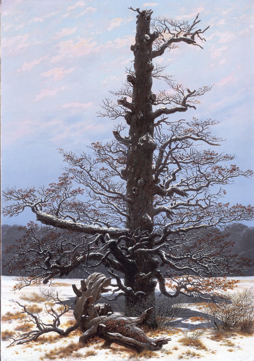 French : Le chêne dans la neige The Oaktree in the Snow - Caspar David Friedrich