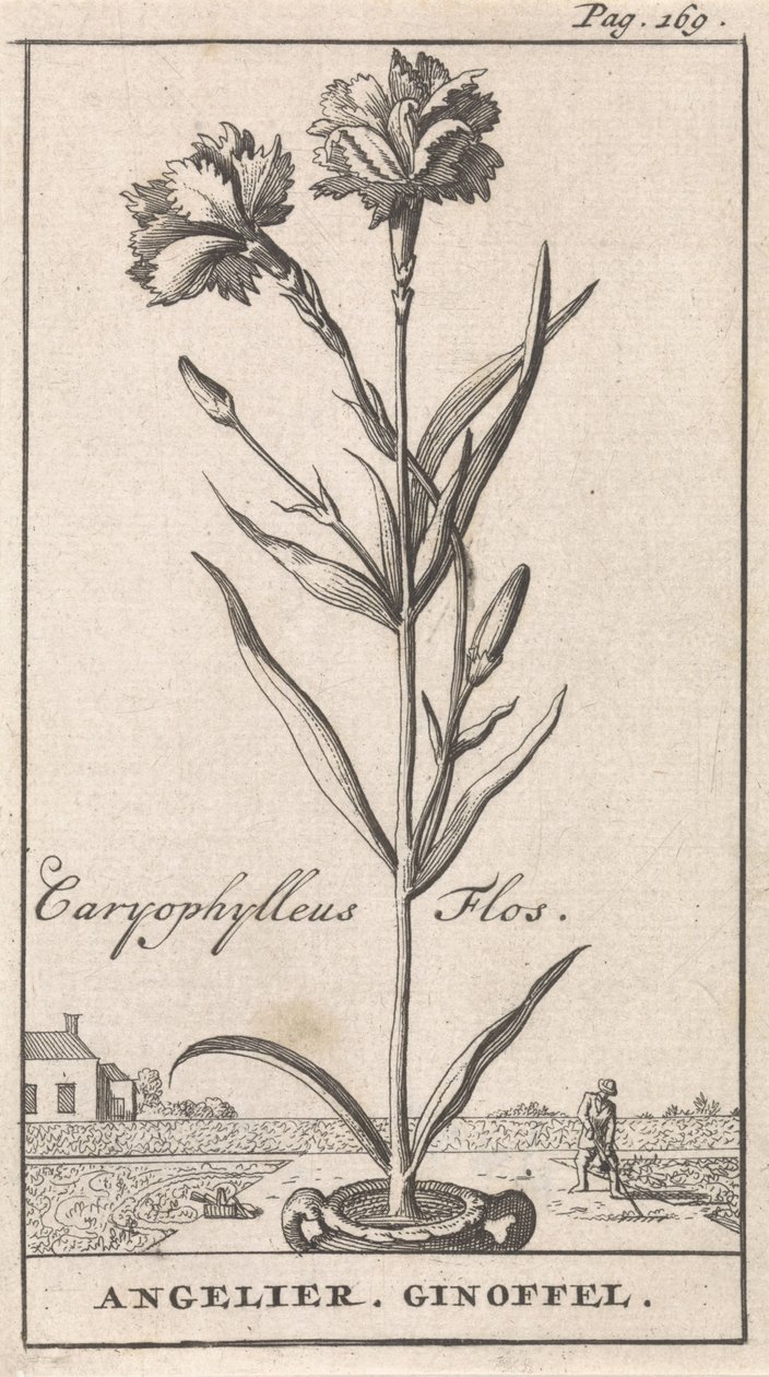Page de titre et huit estampes avec des fleurs - Caspar Luyken