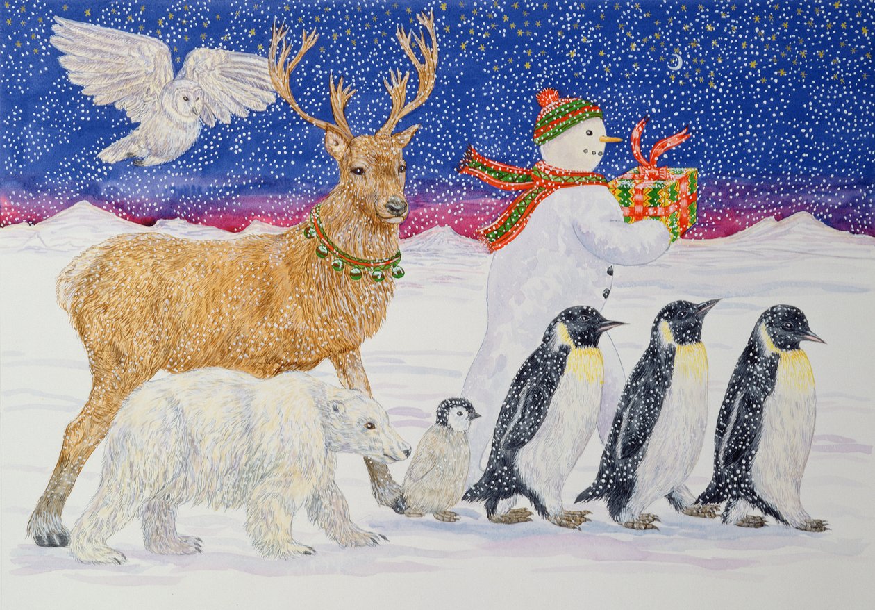 Un Cadeau pour le Père Noël - Catherine Bradbury