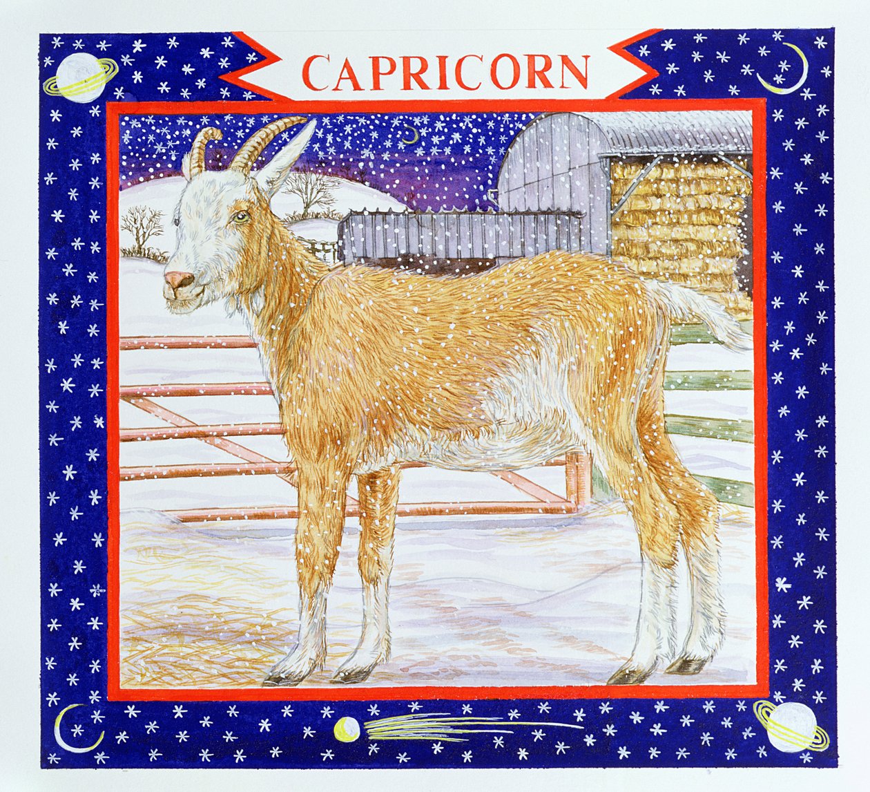 Capricorne - Catherine Bradbury