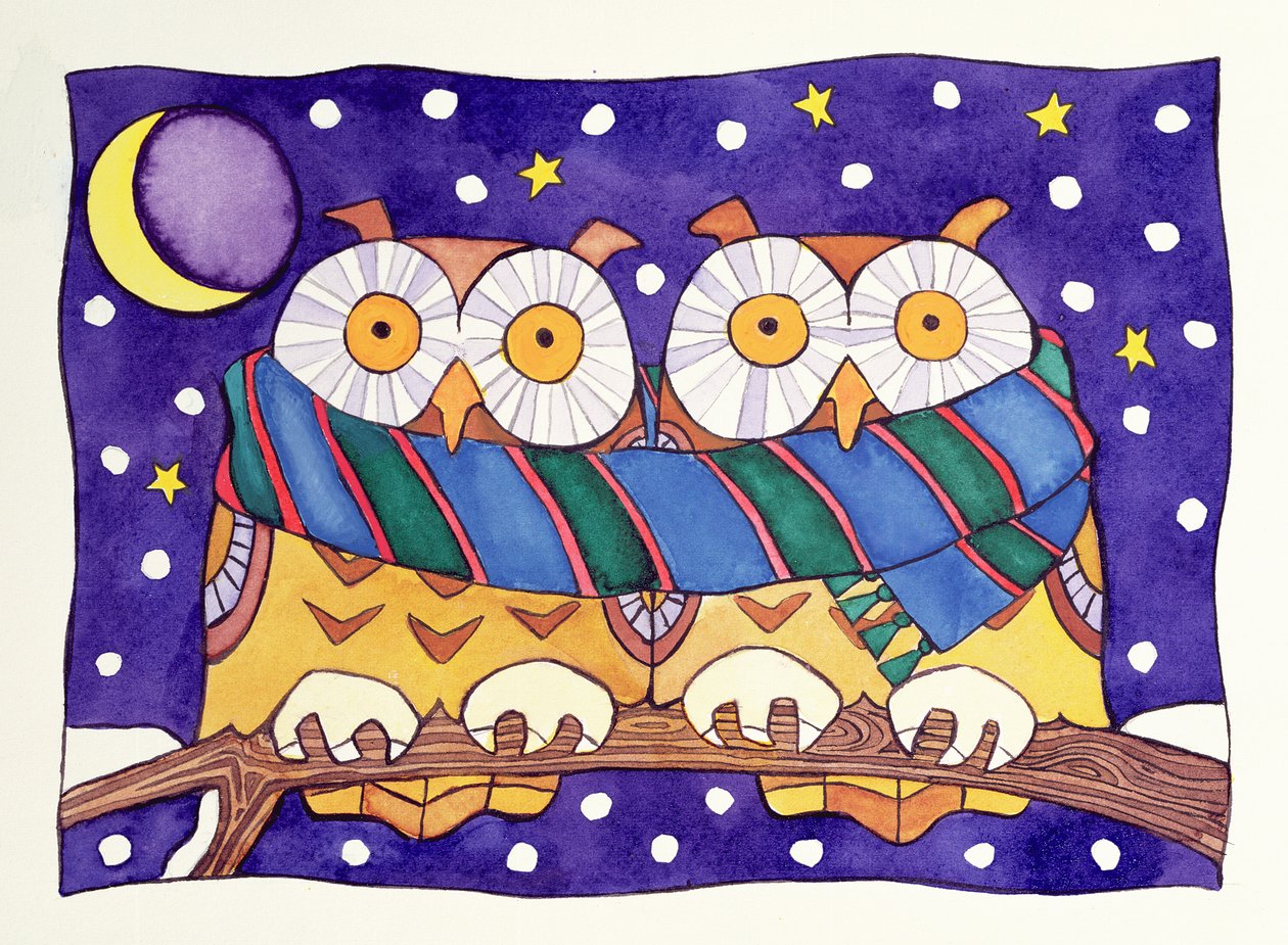 Chouettes la nuit - Cathy Baxter