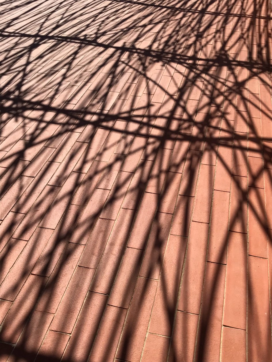 Composition - Shadows, 2021 (photo) - Cécile Jamet