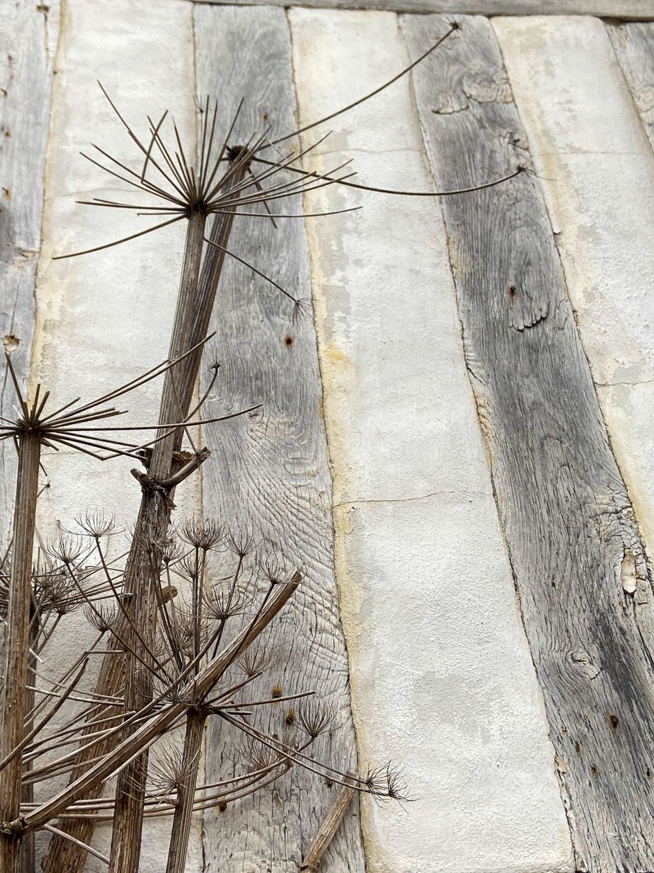 Composition, Architecture 2022 (photo) - Cécile Jamet