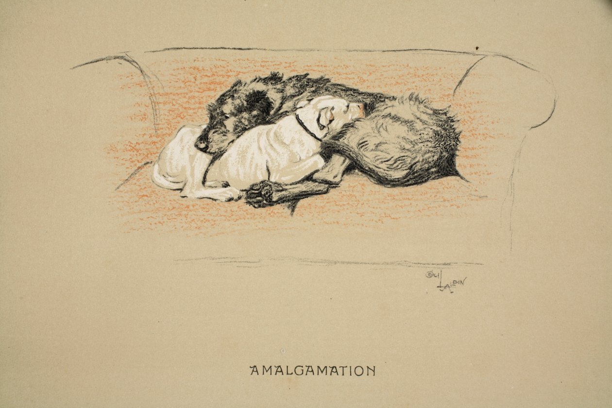 Amalgamation, 1930, 1ère édition de 