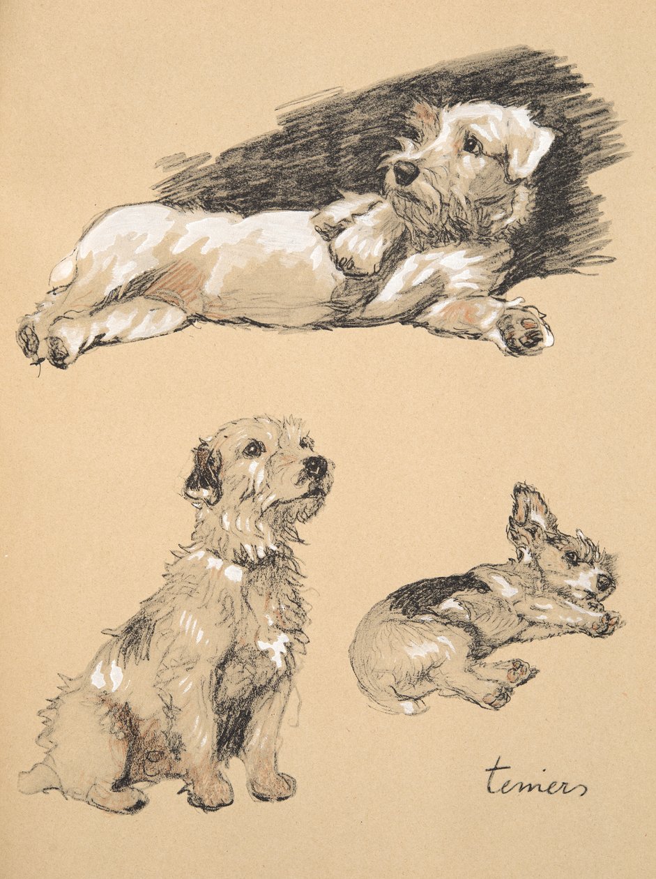 Terriers, 1930, Illustrations de son carnet de croquis utilisé pour 