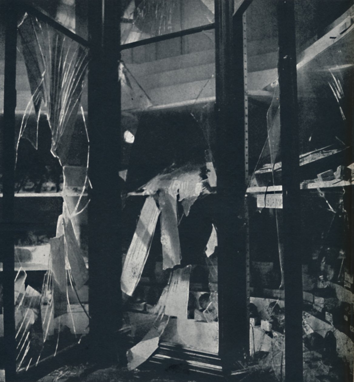 Vitrines au Musée d