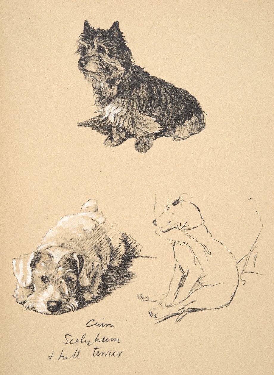 Cairn, Sealyham et Bull Terrier, 1930, Illustrations de son carnet de croquis utilisées pour Just Among Friends, publié par Eyre et Spottiswoode Limited, 1934 - Cecil Charles Windsor Aldin