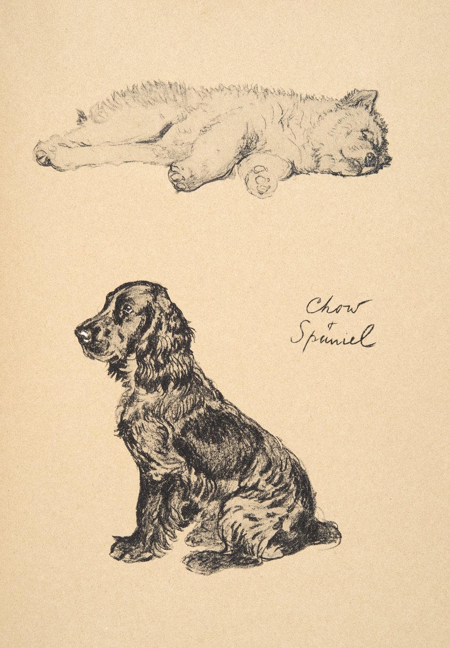 Chow et Épagneul, 1930, Illustrations de son carnet de croquis utilisé pour 