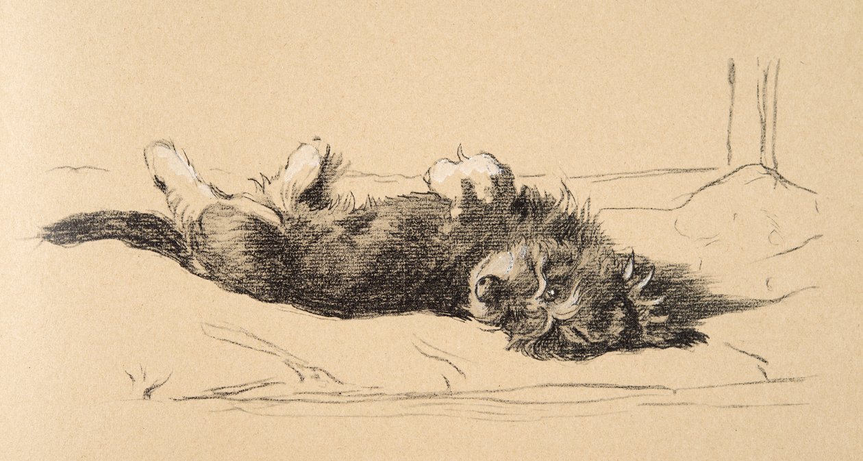 Chiot teckel à poil dur (détail), 1930, Illustrations de son carnet de croquis utilisé pour Just Among Friends, Aldin, Cecil Charles Windsor (1870-1935), publié plus tard par Eyre and Spottiswoode Limited, 1934 - Cecil Charles Windsor Aldin