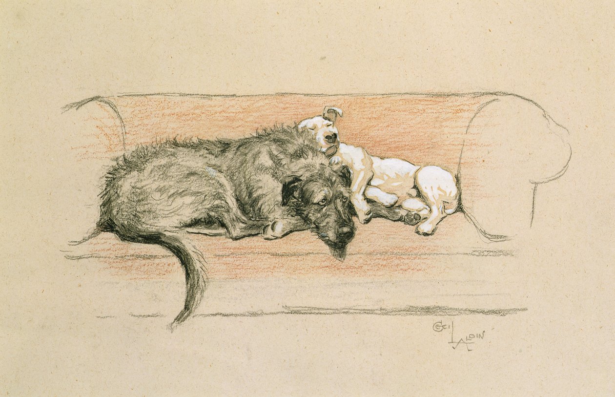 Lévrier irlandais et bull-terrier endormis sur un canapé - Cecil Charles Windsor Aldin