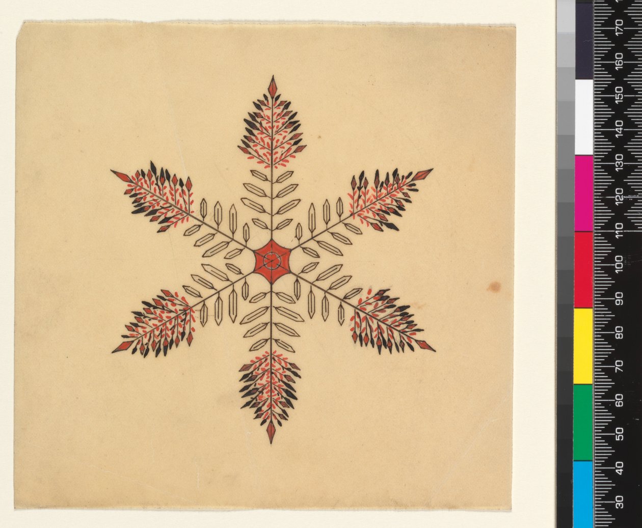Cristaux de neige - Cecilia Glaisher