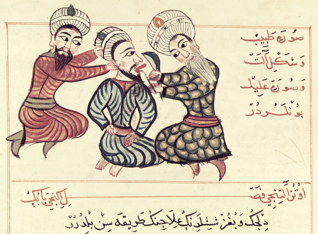 Ms Sup Turc 693 fol.76v Excision d