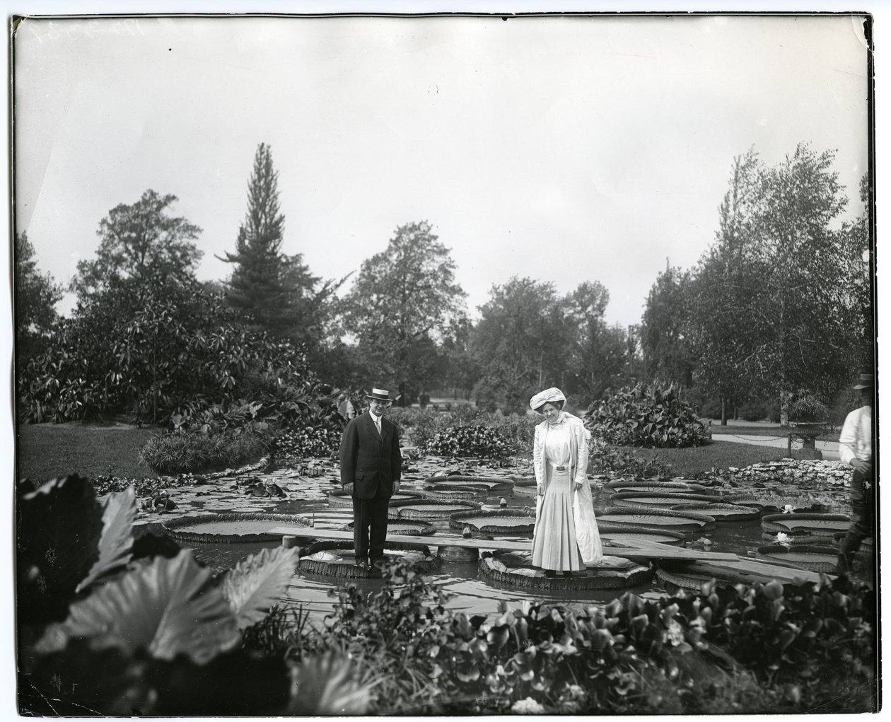 Photographie horizontale en noir et blanc montrant un homme et une femme debout sur des nénuphars géants dans l