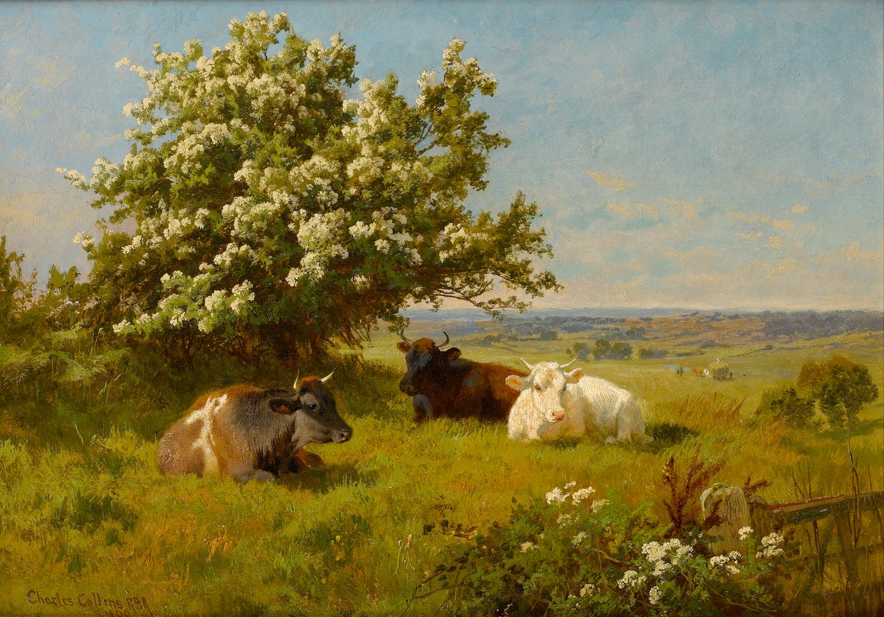 Vaches dans un pré, 1899 - Charles Collins