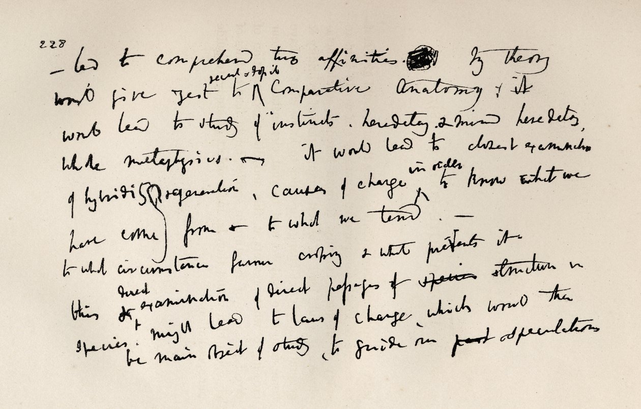 Page d