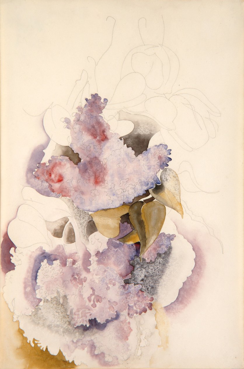 Lilas - Charles Demuth