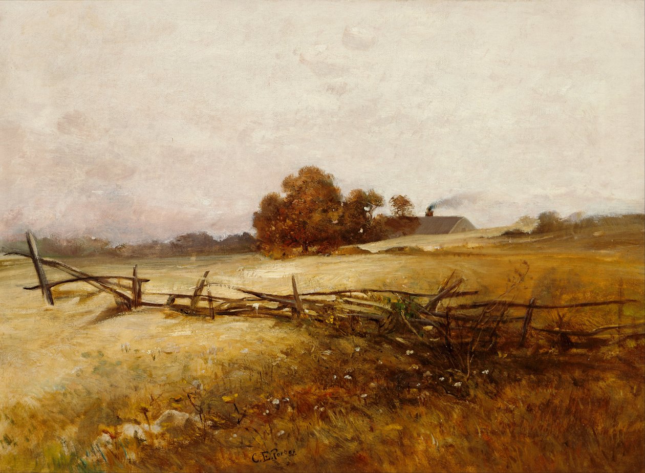 Paysage d