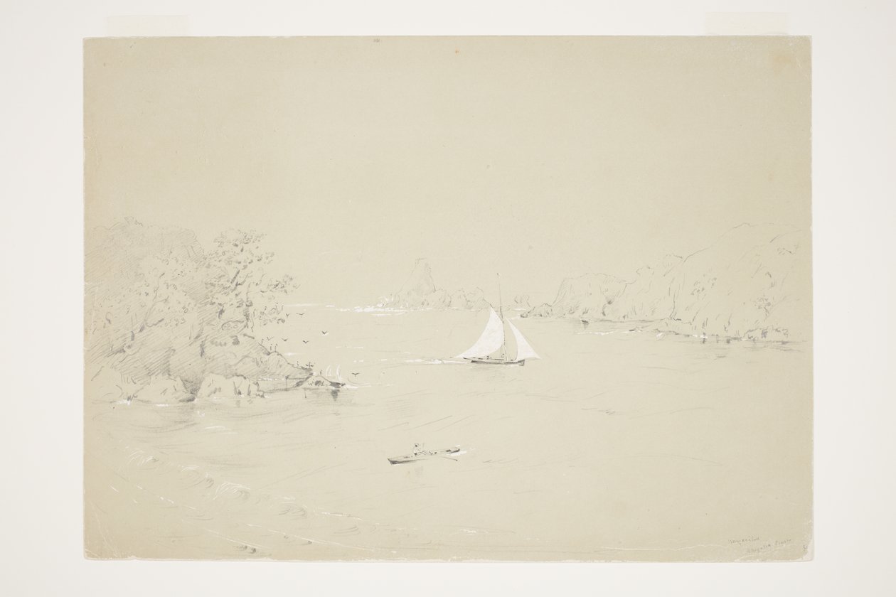 Wangaaihu, côte de Wangaroa - Charles Heaphy