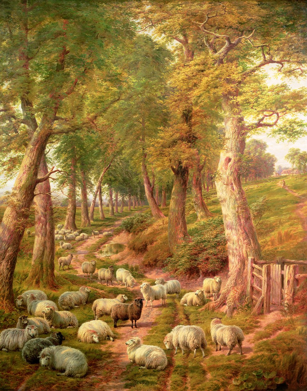 Paysage avec moutons - Charles Jones