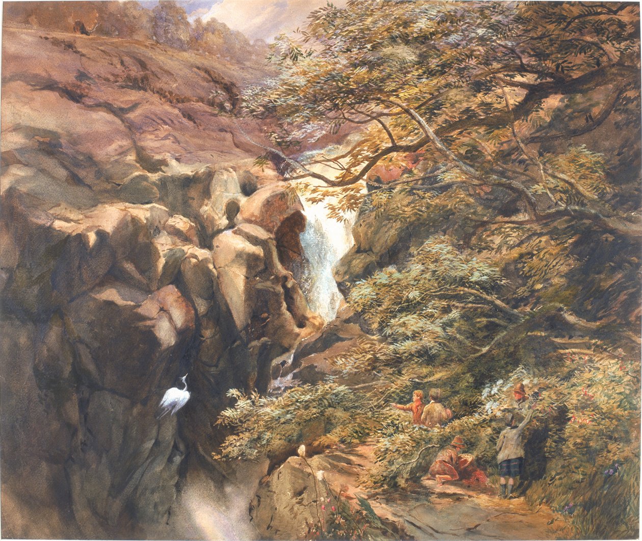 Chutes de Bran - Charles Richardson