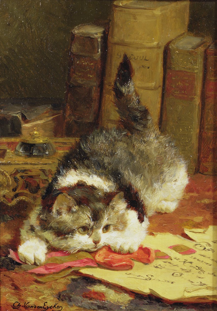 Chat traquant - Charles van den Eycken