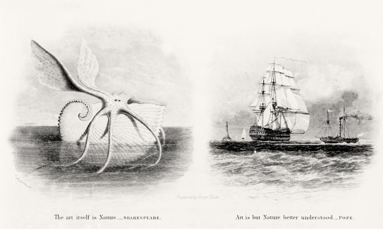Un calmar géant et deux navires en mer, gravé par George Cooke (1781-1834) - Charles Curtis