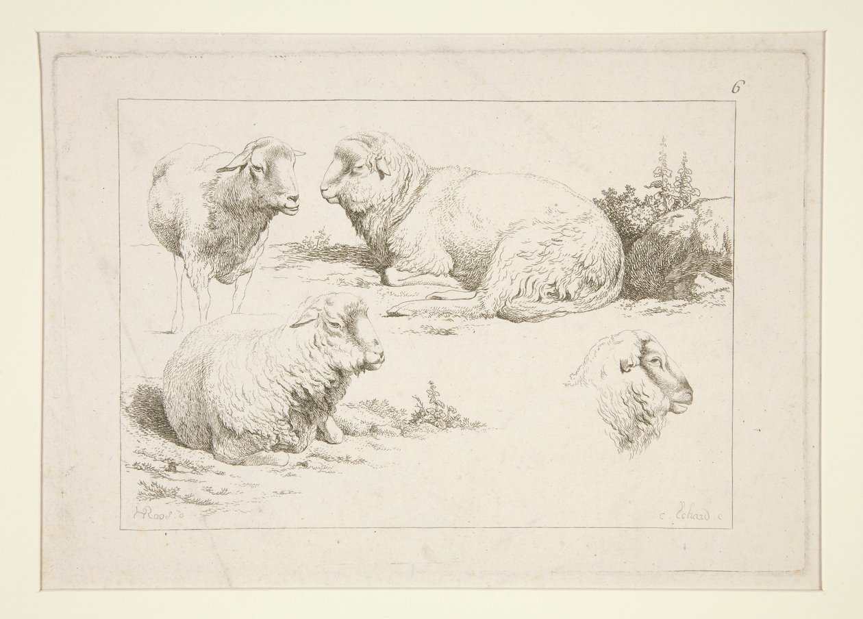 Étude de moutons - Charles Echard