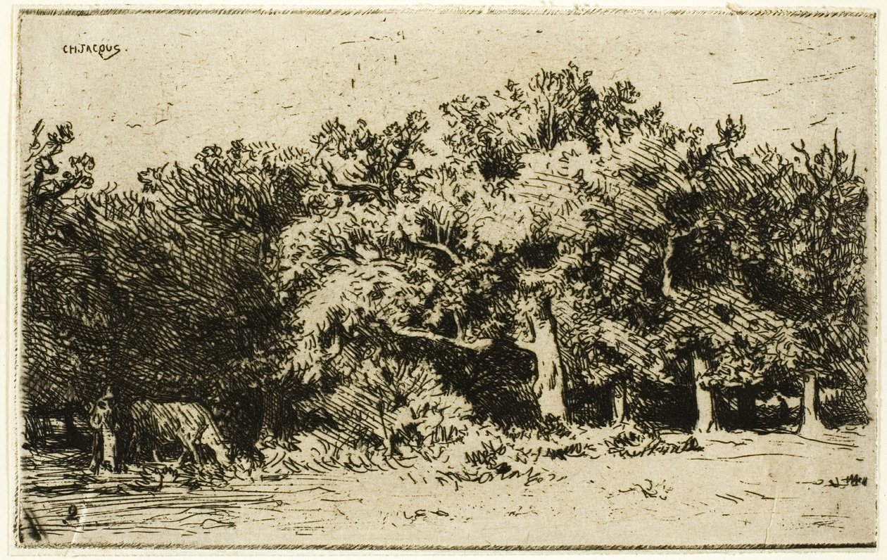 Une partie de la forêt de Fontainebleau - Charles Emile Jacque