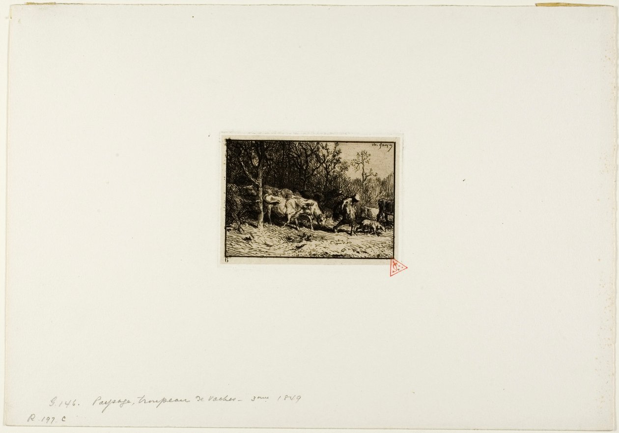 Troupeau de vaches sortant d