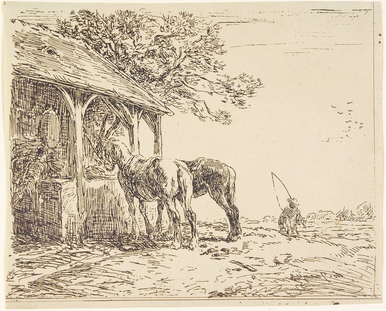 Chevaux à l