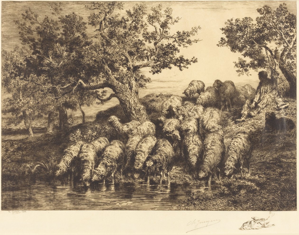 Moutons à l