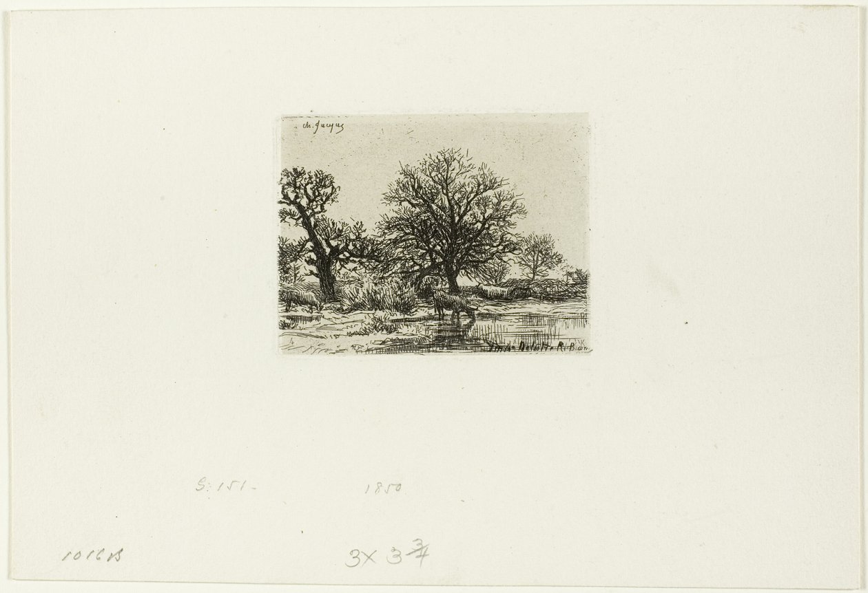 Arbres et vaches près d