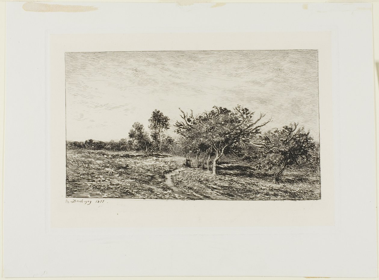 Pommiers à Auvers - Charles Francois Daubigny
