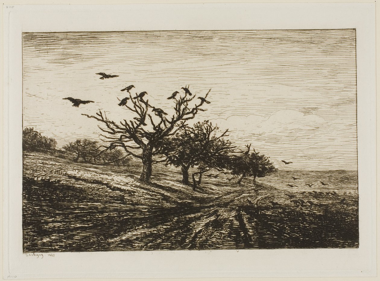 Corbeaux dans un arbre - Charles Francois Daubigny