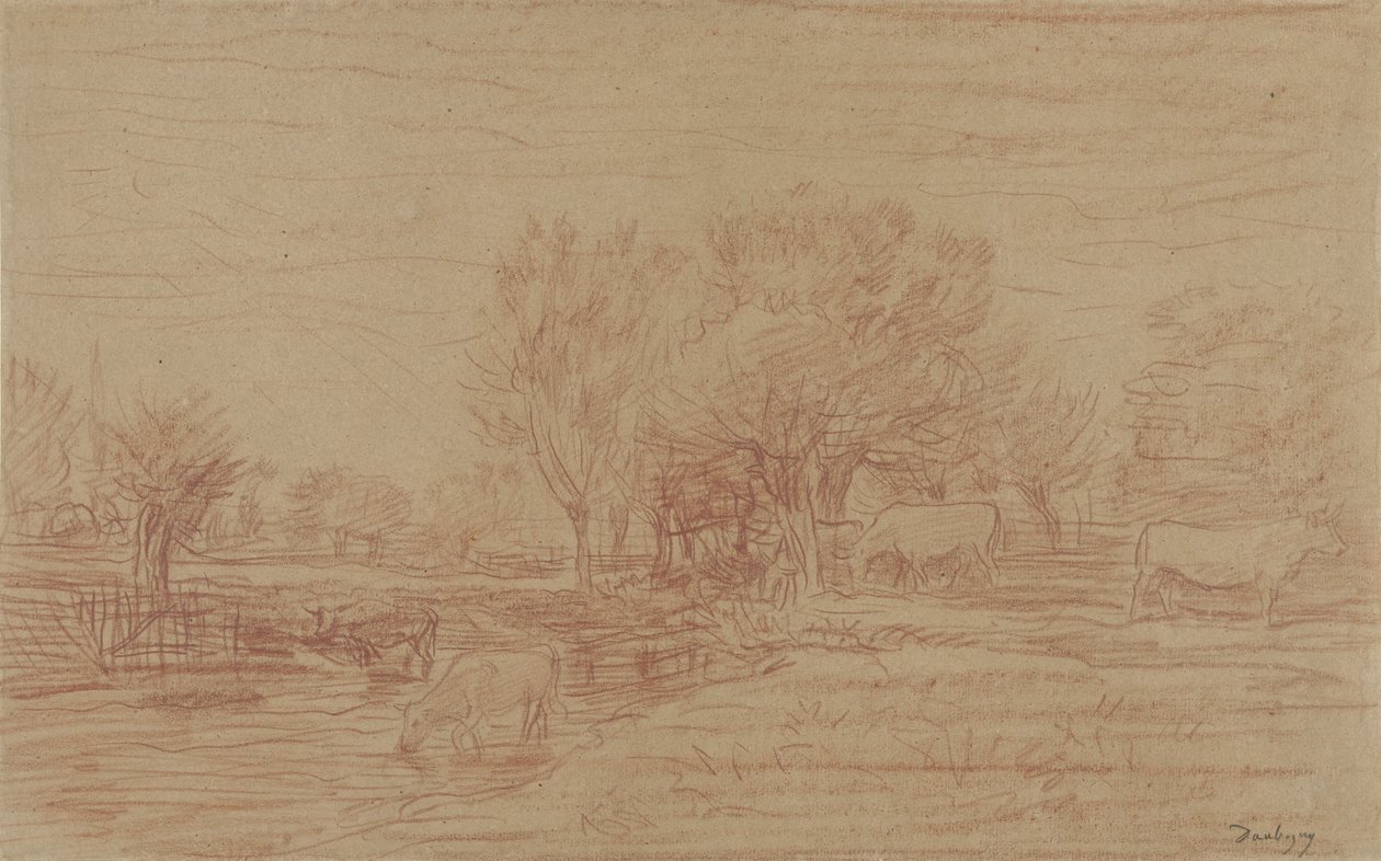 Paysage avec vaches paissant et buvant et un taureau observant - Charles Francois Daubigny