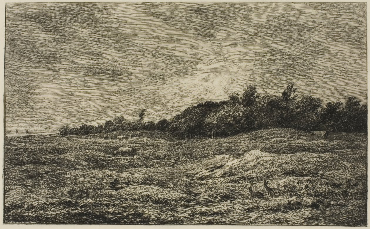 Le Pré des Graves à Villerville (Calvados) - Charles Francois Daubigny