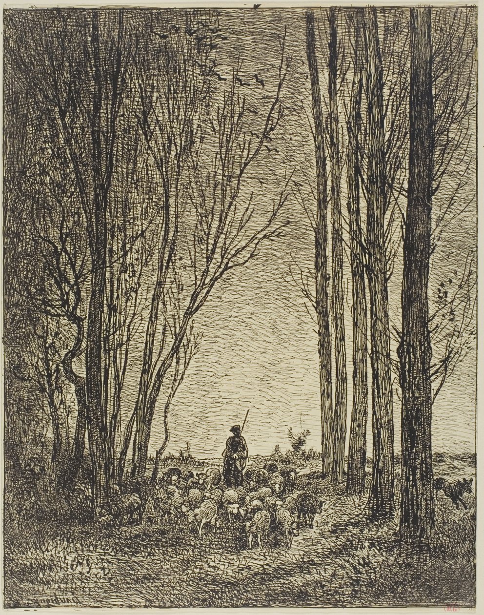 Retour du troupeau - Charles Francois Daubigny