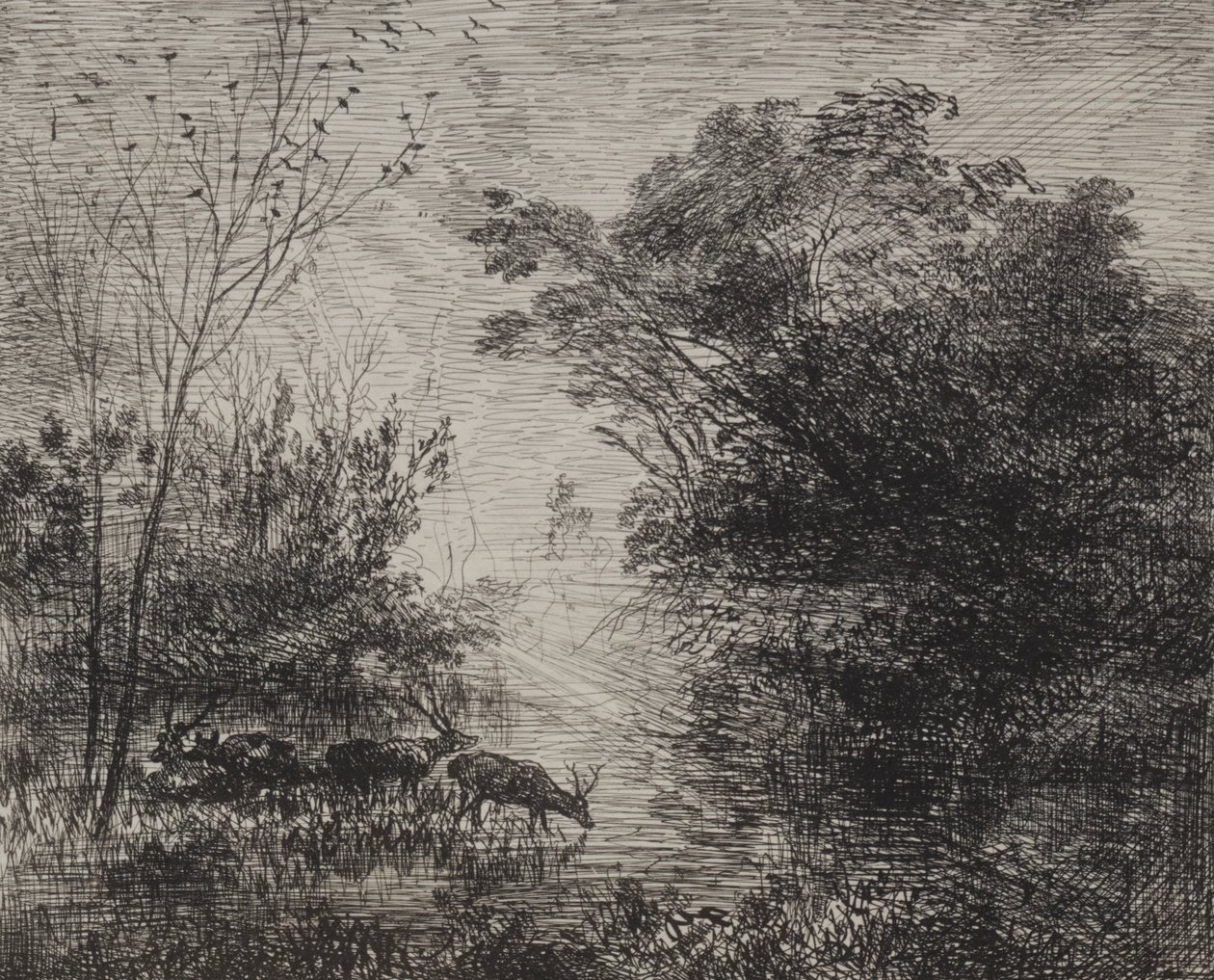 Cerfs, impression originale 1862, imprimée en 1921 - Charles Francois Daubigny
