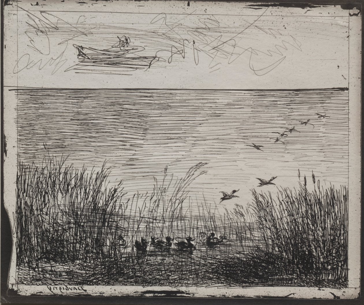 Marais avec des canards, impression originale 1862, imprimée en 1921 - Charles Francois Daubigny
