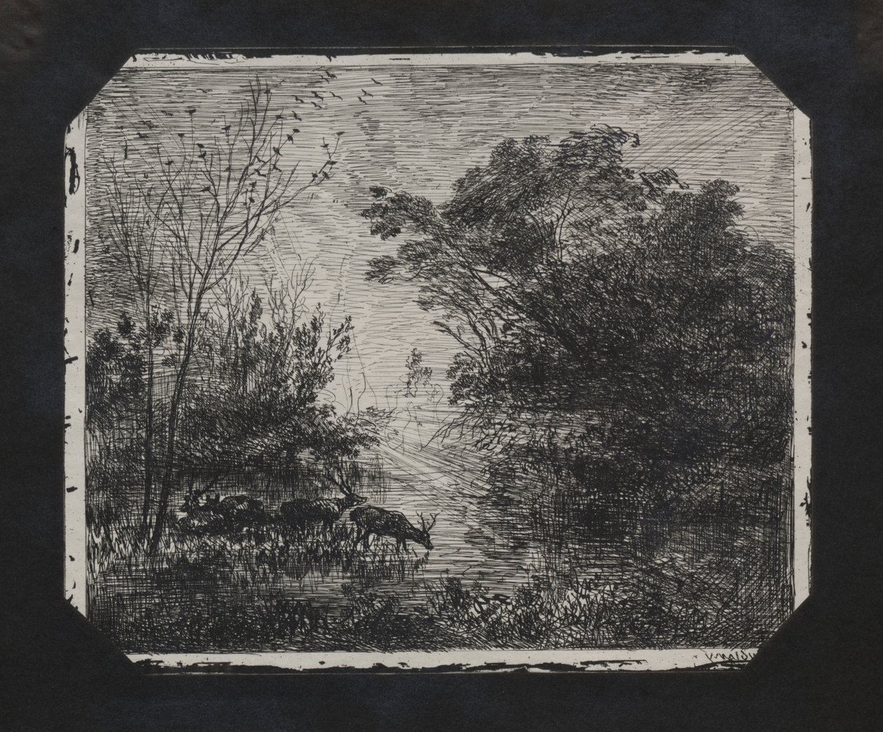 Le Cerf - Charles Francois Daubigny