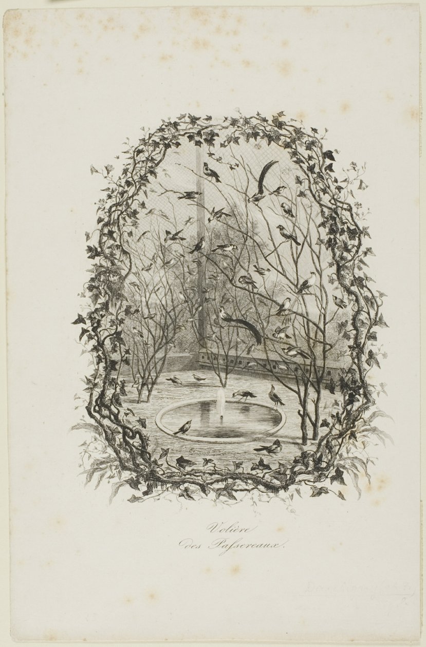 La volière des moineaux - Charles Francois Daubigny