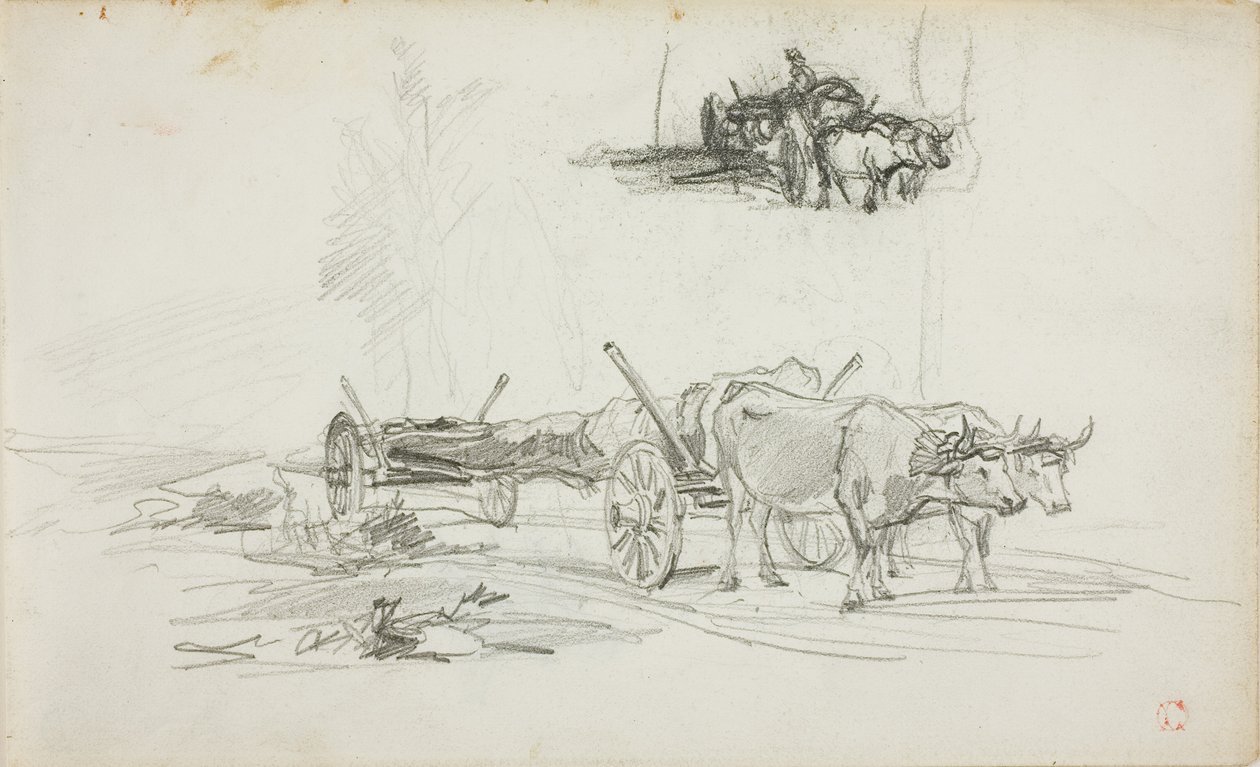 Deux croquis de bœufs tirant un tronc d