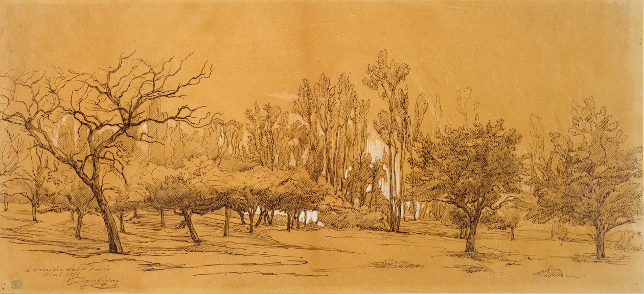 Vue d