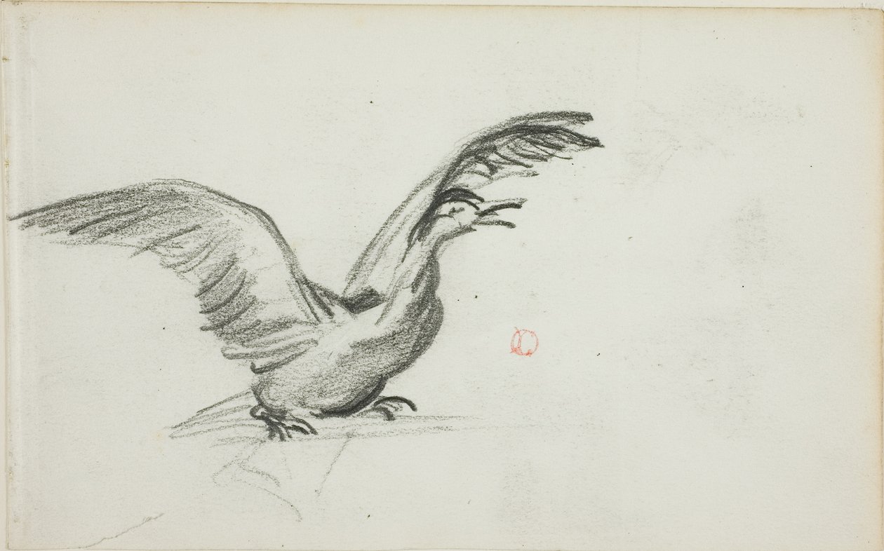 Duo sauvage (recto) ; deux figures féminines nues debout dans des niches (verso) - Charles Francois Daubigny