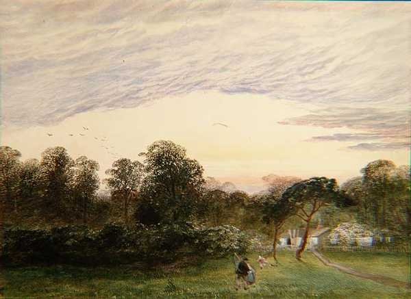 Dans Bannisters Wood, Southampton - Charles Frederick Williams
