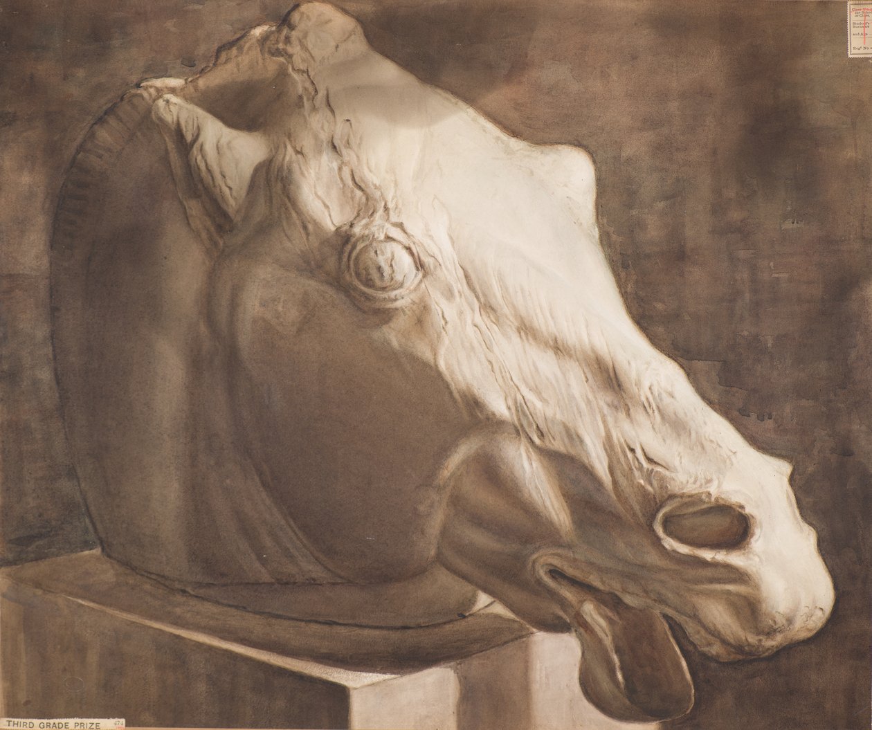 Étude - Tête de cheval du Parthénon - Charles Gustav Louis Phillips