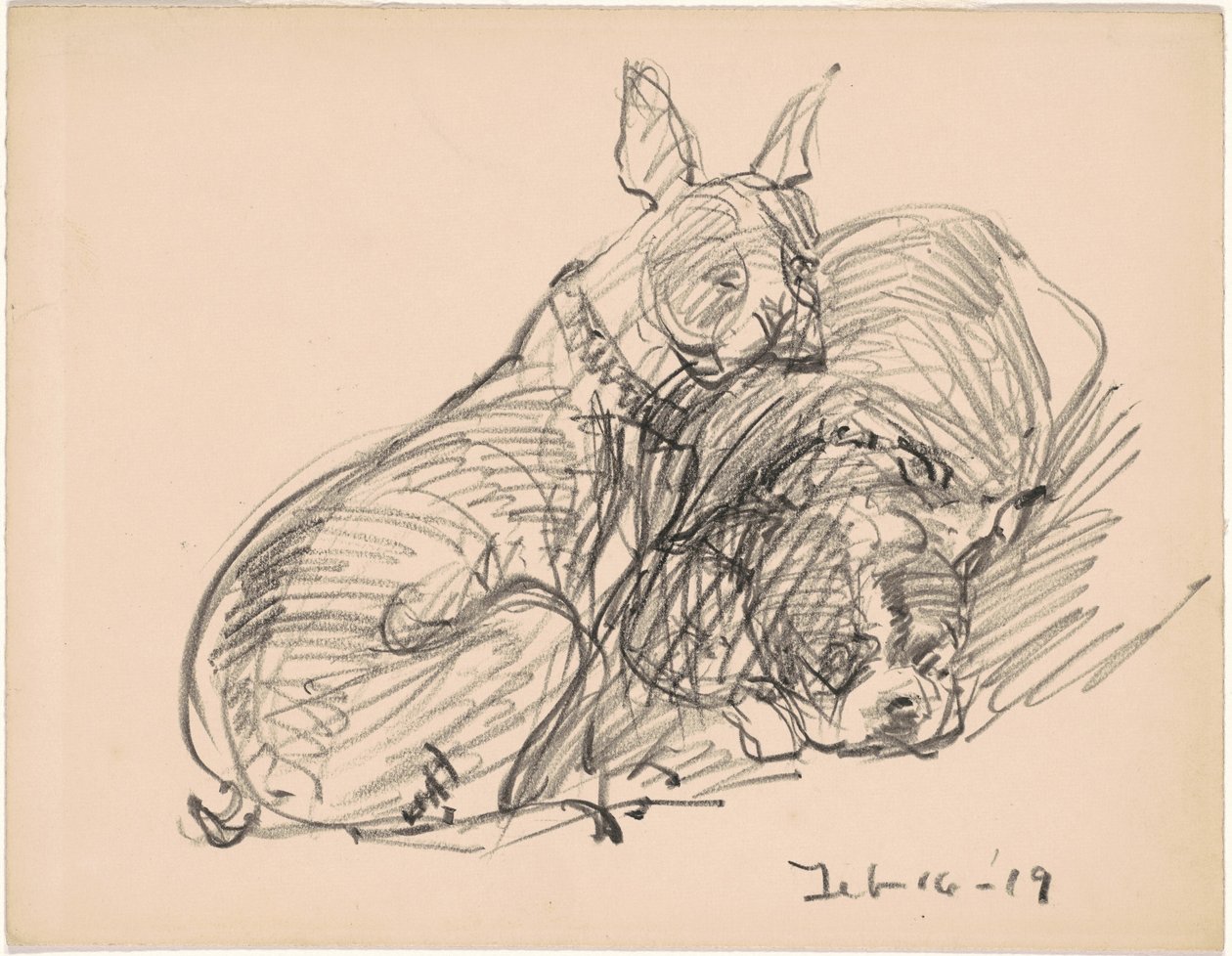 Deux chiens - Charles H. Woodbury