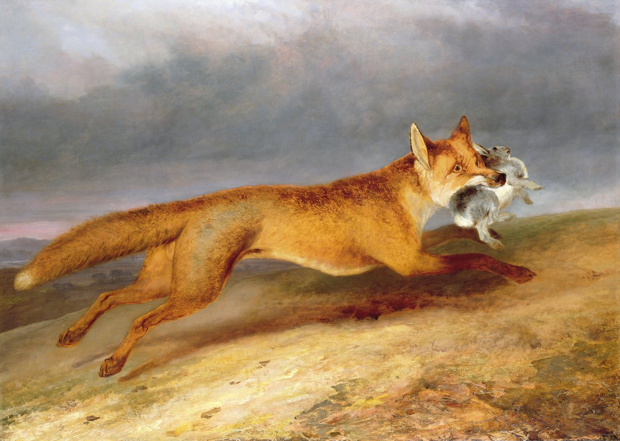 Renard s