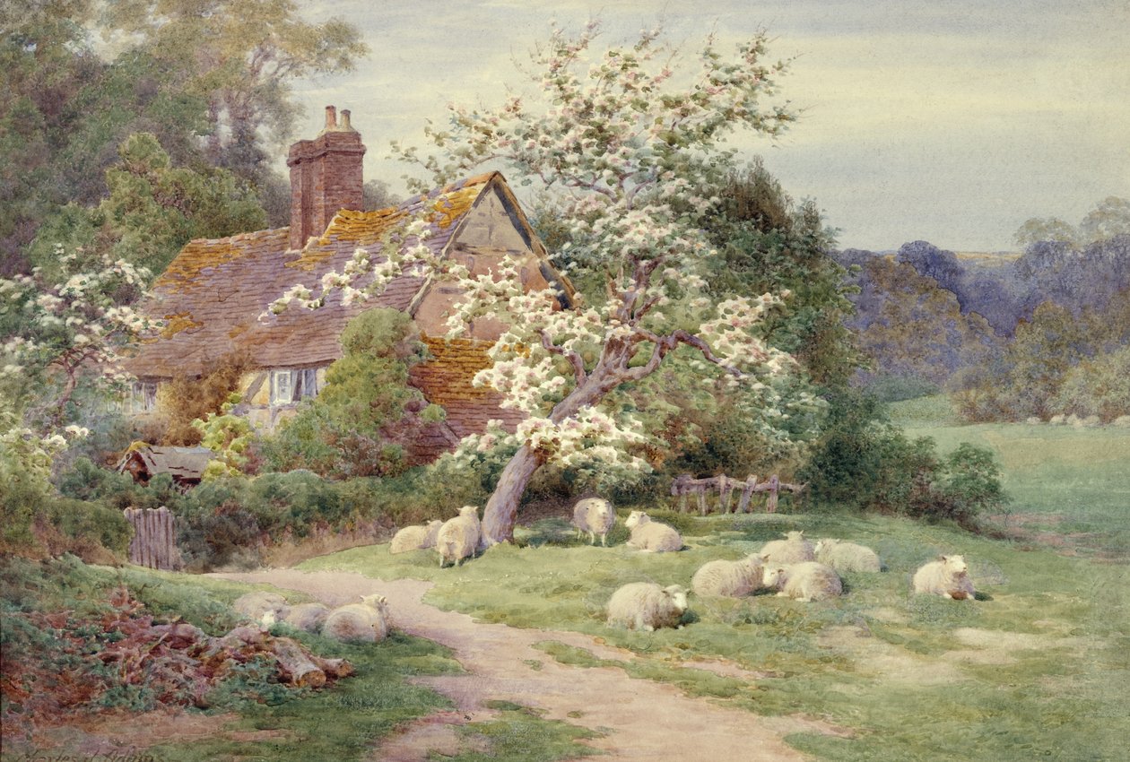 Moutons devant un cottage au printemps - Charles James Adams