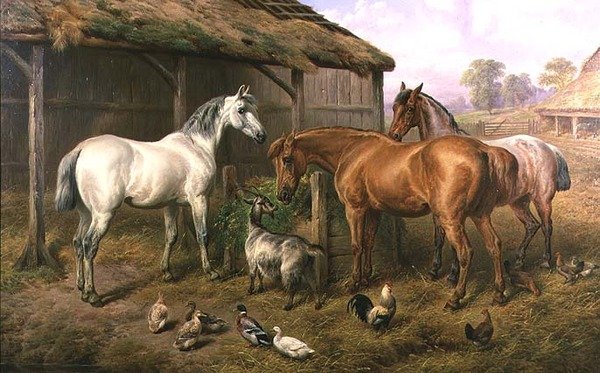 Amis de la ferme - Charles Jones